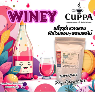 เดอะคัปป้า รวมกาแฟดริปแพค 10 ทุกดอย | The Cuppa Drip Coffee pack 10 collections
