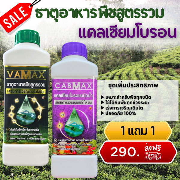 ชุด 1 แถม 1 (ปุ๋ยธาตุรวม VAMAX + CABMAX แคลเซียมโบรอน) ขึ้นทะเบียนปุ๋ยจากกรมวิชาการเกษตร ปลอดภัย 100% (VC1)