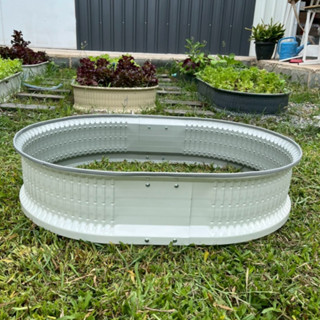 [สีขาว]กระถางเมทัลชีทปลูกผัก ขนาดกว้าง65cmxยาว90cm ปลูกดอกไม…