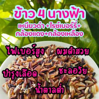 ข้าวสาร ข้าว4นางฟ้า 4Mixed Rice เหนียวดำ ไรซ์เบอรี่ กล้อง ตรา Good Rice by Glory Rice 1 กิโลกรัม