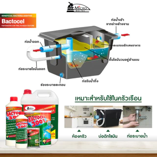 BACTOCEL 3001 300ml. ดับกลิ่นเหม็นไขมัน ย่อยสลายไขมัน แบคโตเซล บ่อดักไขมัน กลิ่นเหม็นส้วม ท่อตัน