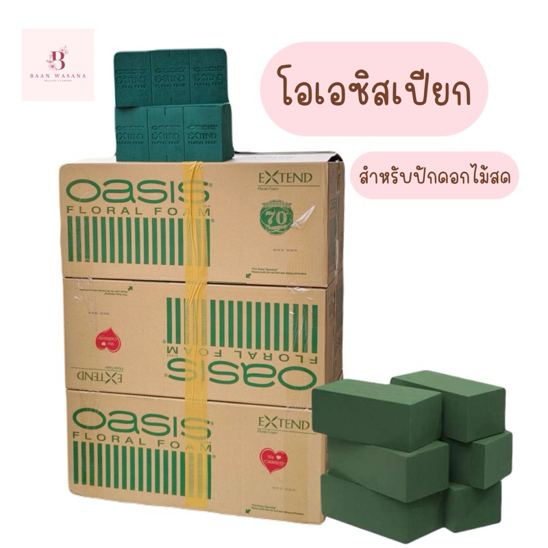 โอเอซิส โฟมปักดอกไม้สด (1 กล่อง บรรจุ 20ก้อน) แบรนด์ Oasis
