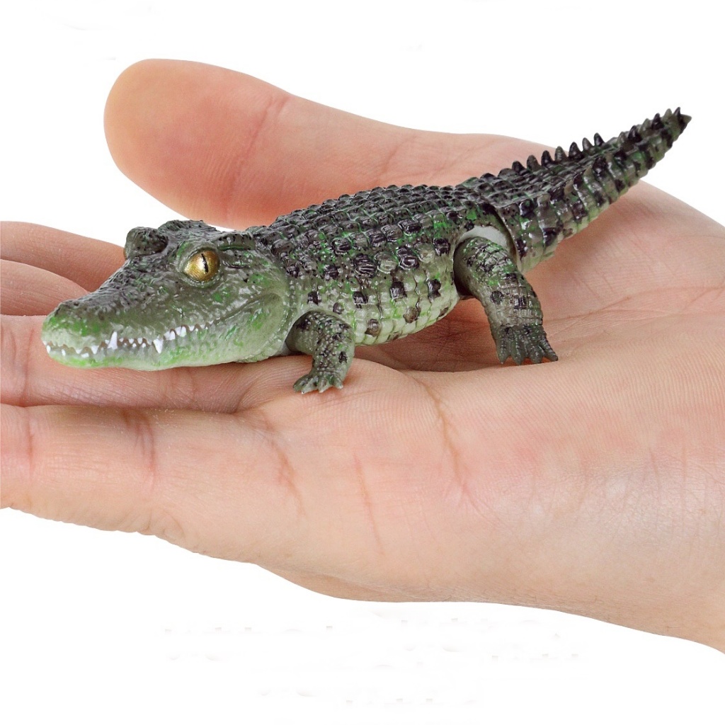 (ครบชุดพร้อมส่ง) กาชาปองจระเข้มินิ Gashapon Bandai Ikimono Encyclopedia Crocodile Mini โมเดลสัตว์ ราคา ถูกที่สุด ดีลบีเคเค แกลเลอรีภาพที่ 2