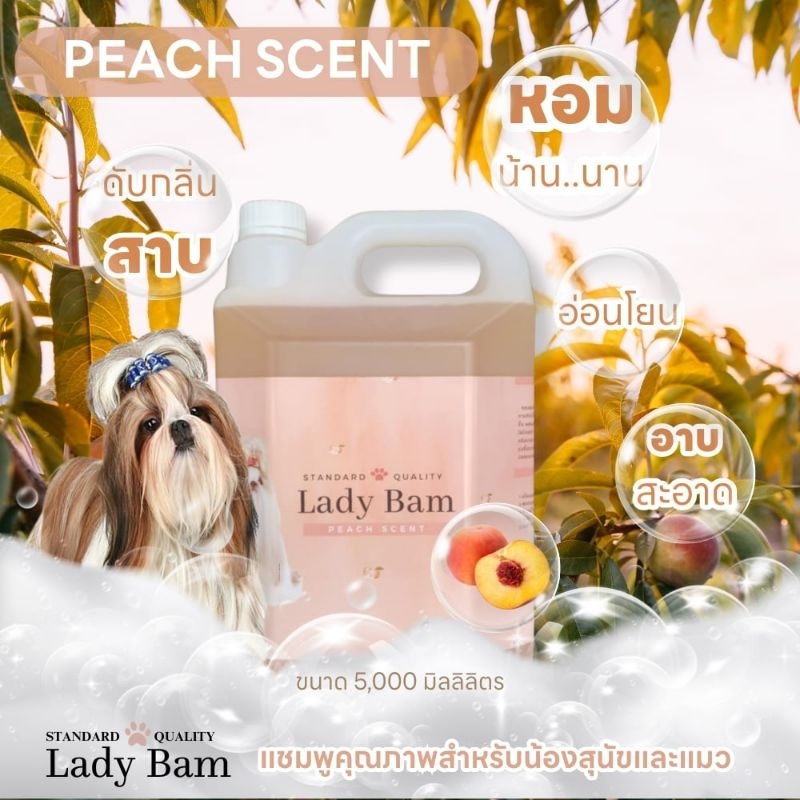แชมพูอาบน้ำสัตว์เลี้ยง เลดี้เเบม lady bam เเชมพูสำหรับน้องสุนัข เเมว พรีเมียมเกรด หอมนาน บำรุงขน ลดการระคายเคือง ฟองเยอะ