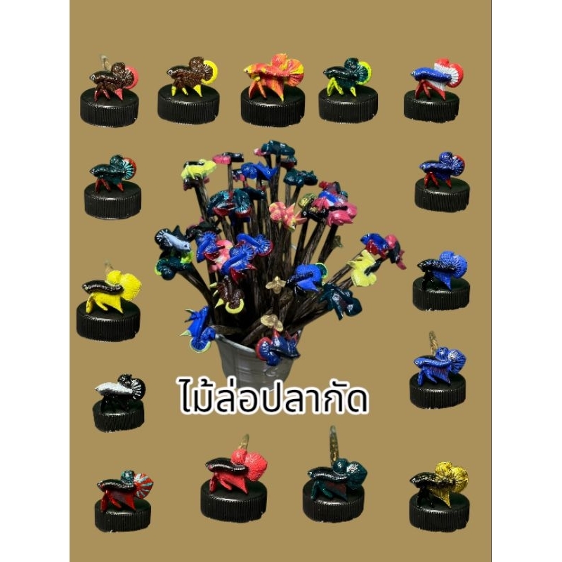 ไม้ล่อปลากัด ไม้ปลากัด