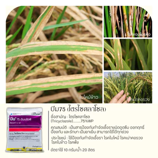 บีม75 100กรัม (ไตรไซคลาโซล) ป้องกันโรคไหม้ในนาข้าว