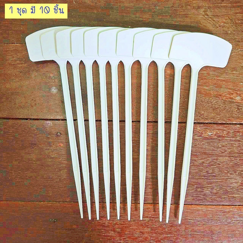 ป้ายปักดินแบบยาว ปักบอกแสดงพันธ์ต้นไม้ (ราคาต่อ 10 ชิ้น) - รูปที่ 3