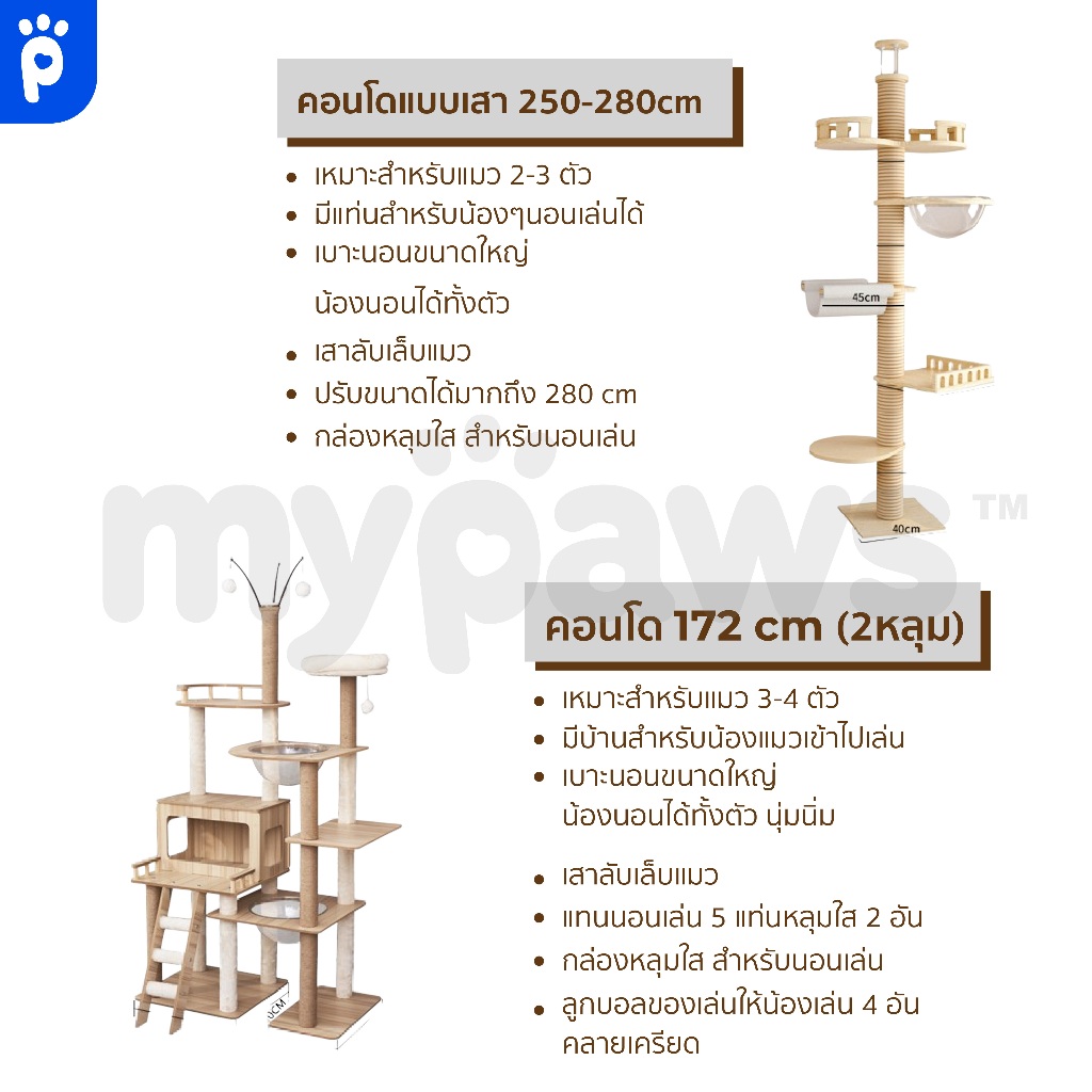 My Paws คอนโดแมว 2 หลุม แบบไม้ พร้อมโดมนอนแบบใส บันไดและกล่องนอน เสาลับเล็บทั้งต้น - รูปที่ 4