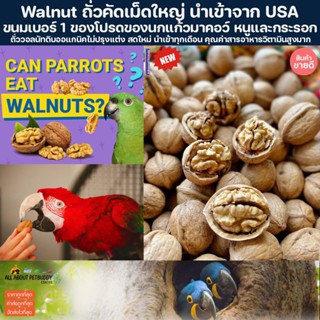 Walnut ถั่ววอลนัท เกรด AAA คัดเม็ดใหญ่ นำเข้าจากUSA นกแก้วมา…