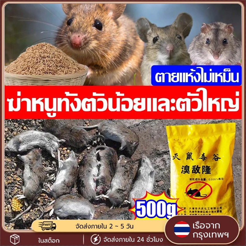 ยาเบื่อหนู 500g รุ่นธัญพืชแห้ง เหยื่อหนูตายไม่เหม็น กำจัดหนูบ้าน ใช้ในบ้าน โกดัง ปลอดภัยไม่เหม็น