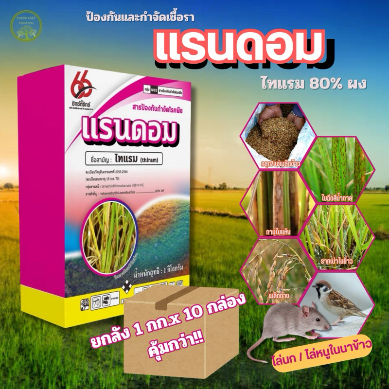 (ยกลัง*10กล่อง)แรนดอม ไทแรม 1000กรัม สารป้องกันกำจัดโรคพืช สามารถนำไปใช้ในการไล่นกไล่หนู เป็นยาเย็น