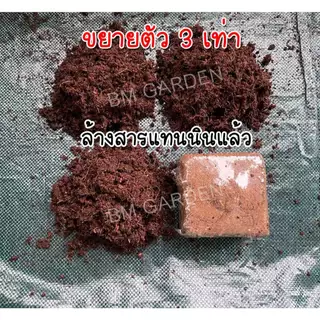 ขุยมะพร้าวอัดก้อน 200 กรัม ขยายตัว 3 เท่า ล้างสารแทนนินแล้ว pH เหมาะสม