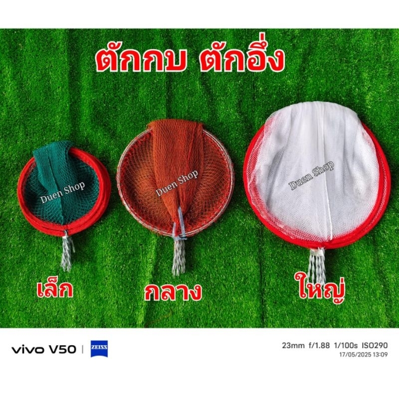 ตักกบ ตักอึ่ง มัด10ชิ้น