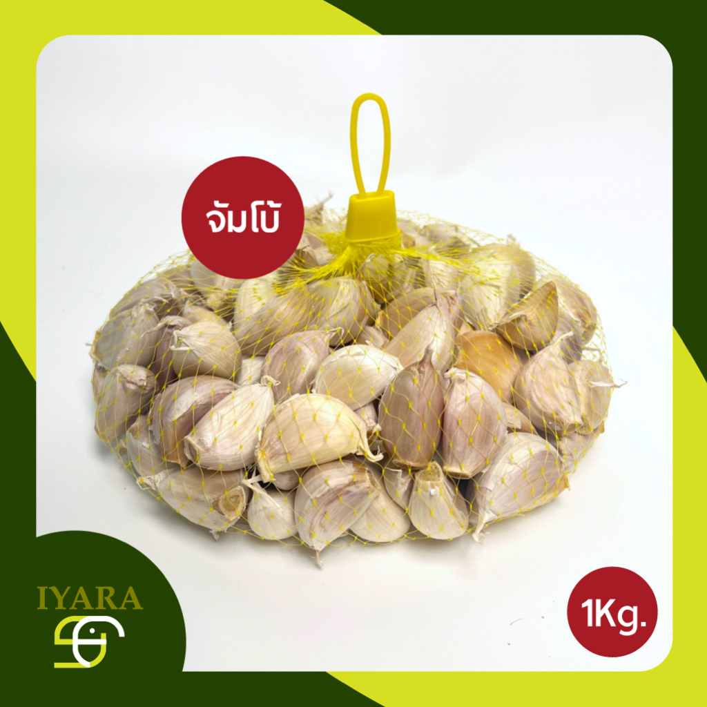 กระเทียมจีนกลีบใหญ่จัมโบ้ คัดไซส์พิเศษ 1กิโลกรัม