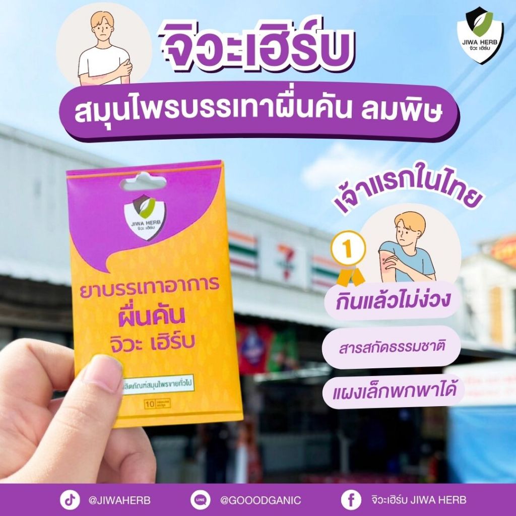 [เซ็ต6แผง ] ยาบรรเทาอาการผดผื่นคัน แก้แพ้ แก้คัน ไม่ง่วงซึม  : ยาผื่นคันตราจิวะ