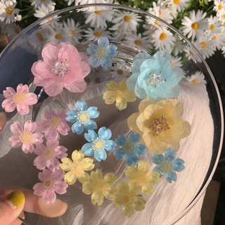 กิ๊บหนีบผม ชุดกิ๊บติดผมดอกไม้ขนาดเล็ก 5 ชิ้น cute ลายดอกไม้ สำหรับผู้หญิง สไตล์เกาหลี