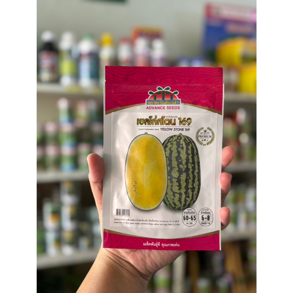 เมล็ดผลไม้ เมล่อน แคนตาลูป แตงโม ตราตะวันต้นกล้า - รูปที่ 6