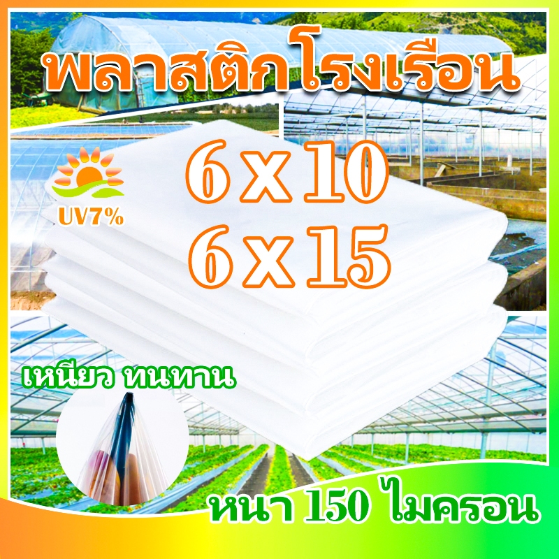 พลาสติกโรงเรือน พลาสติกใส พลาสติกคลุมโรงเรือน กันฝนgreenhouse หนา 150 ไมครอน UV7% โรงเรือนแคคตัส พลาสติกปูบ่อ กันสาด6×10