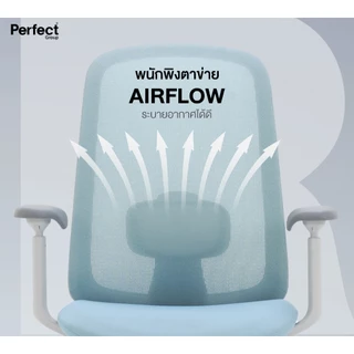 Perfect เก้าอี้ทำงาน รุ่น VARIETY เก้าอี้ทำงานเพื่อสุขภาพ Ergonomic Chair เก้าอี้เพื่อสุขภาพ เก้าอี้คอม เก้าอี้