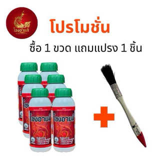 โขงอายส์ สูตร 1 ฝาเขียว ยาง 10-18ปี