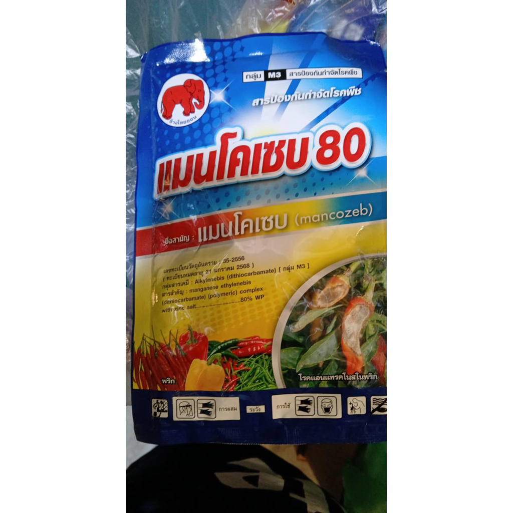 ไดเทน แมนโคเซป ยากำจัดเชื้อรา ราแห้ง เหนียว โรคกุ้งแห้ง - รูปที่ 4