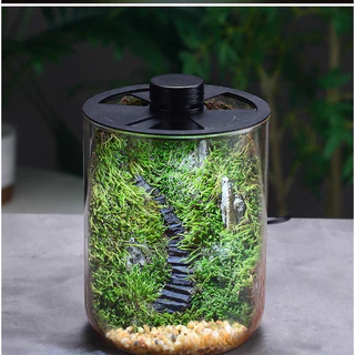 JADEPLANT Bio Bottle LED EC series กระจกใสพิเศษ ตู้ไม้ชื้น เทอราเรี่ยม โหลเลี้ยงต้นไม้ terrarium จัดสวนขวด bioloark ต้น