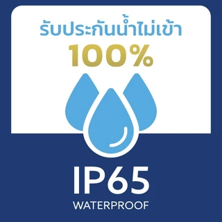 LAMPTAN หลอดไฟเส้น LED STRIPLIGHT SMD AC220V 8w/m ไม่ต้องใช้ไดร์เวอร์ ยาว 10 เมตร กันน้ำระดับ IP65 แสงวอร์มไวท์