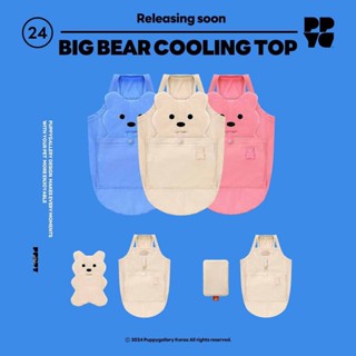 New. ใหม่ล่าสุด เสื้อคูลลิ่งสำหรับสัตว์เลี้ยง รุ่น🧸Big Bear …