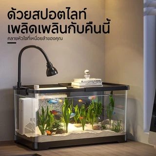 ตู้ปลาใหญ่ ตู้ปลาทอง ตู้ปลามีไฟ ห้องนั่งเล่น บ้าน ภูมิทัศน์ Eco ตู้ปลาจิ๋ว