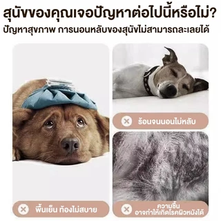 Elevated Metal Pet Bed เตียงสัตว์เลี้ยง เตียงสัตว์เลี้ยงฤดูร้อน สูงจากพื้นป้องกันความชื้น