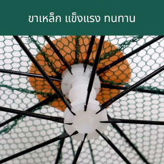 มุ้งดักปลา 4 6 8 10 ช่อง ตาข่ายดักปลา กระชังปลา ที่ดักปลา ที่ดักกุ้ง พับเก็บได้