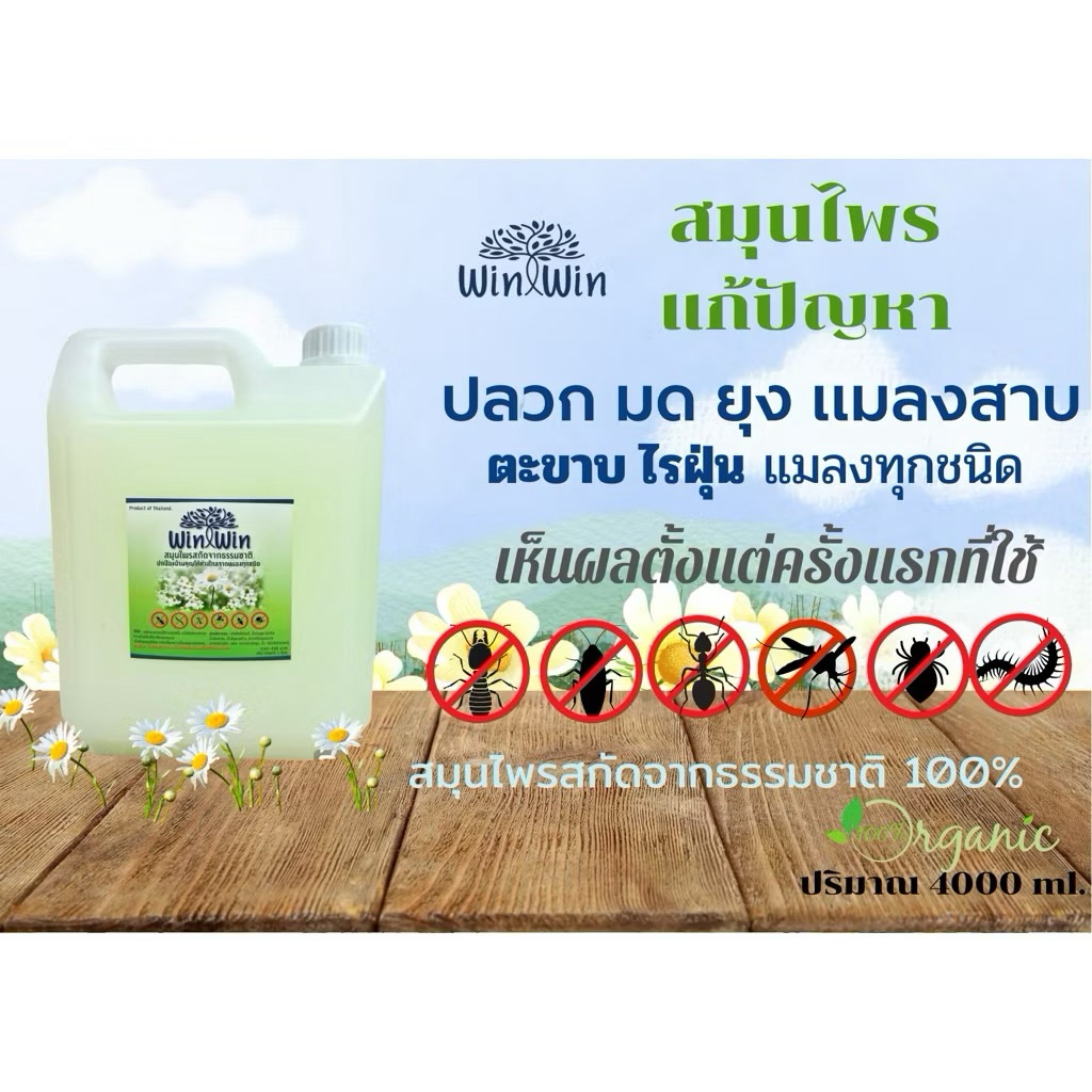 สมุนไพรไล่ปลวก มด แมลงสาบ และแมลงทุกชนิด win win ขนาด 4000 ml. (4ลิตร)