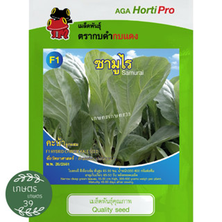 คะน้าลูกผสม F1 พันธุ์ซามูไร ตรากบดำกบแดง คะน้าพันธุ์พิเศษ ทน…