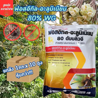 ละลายน้ำง่าย☘️ฟอสอีทิล 80% wG☘️1กิโลกรัม*10 กก (ยกลัง)โรครากเน่าโคนเน่า ผลเน่า ไฟท็อปธอร่า ราน้ำค้าง