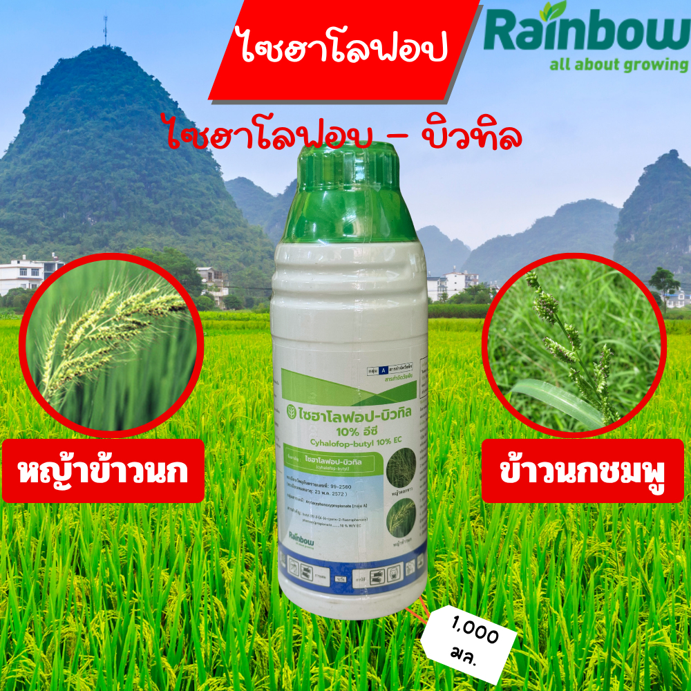 ไซฮาโลฟอป-บิวทิล 1 ลิตร Cyhalofop-butyl 10% W/V EC