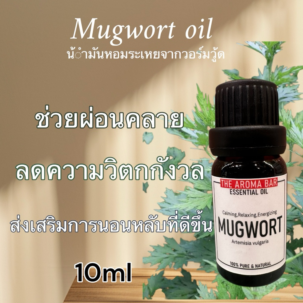 mugwort Essential oil