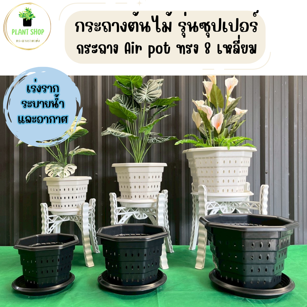 กระถางต้นไม้ รุ่นซุปเปอร์ กระถาง Air Pot / เร่งราก ระบายน้ำและอากาศ ทรง 8 เหลี่ยม ขนาด 10 นิ้ว 12 นิ้ว 15 นิ้ว