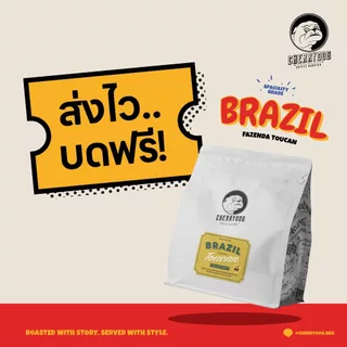 Cherrydog | เมล็ดกาแฟคั่วกลาง บราซิล Brazil Fazenda Toucan 200g-1kg. Specialty grade | อราบิก้า100%