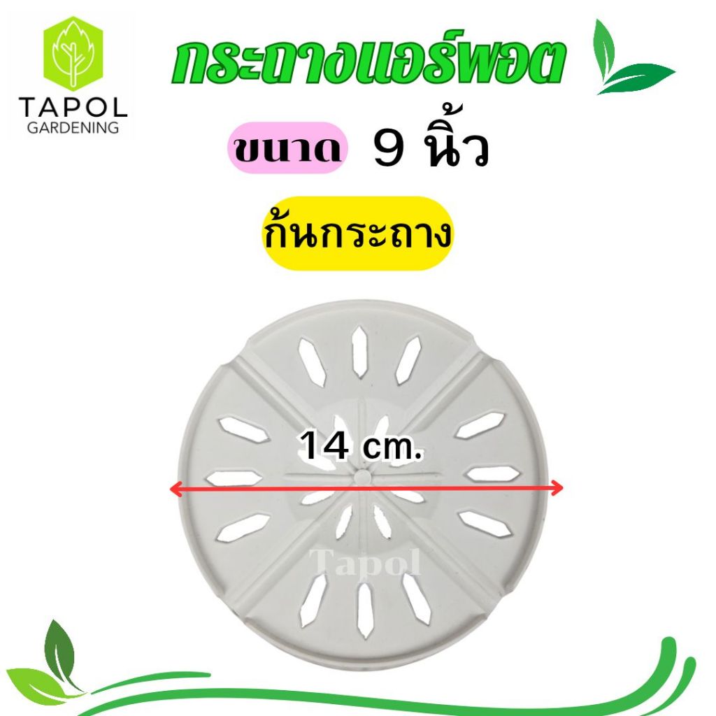 กระถางแอร์พอต ขนาด 9 นิ้ว / 12 นิ้ว กระถางระบายน้ำได้ดี รากแข็งแรง รากไม่เน่า พลาสติกคุณภาพดี ทนทาน น้ำหนักเบา ราคา ถูกที่สุด ดีลบีเคเค แกลเลอรีภาพที่ 5
