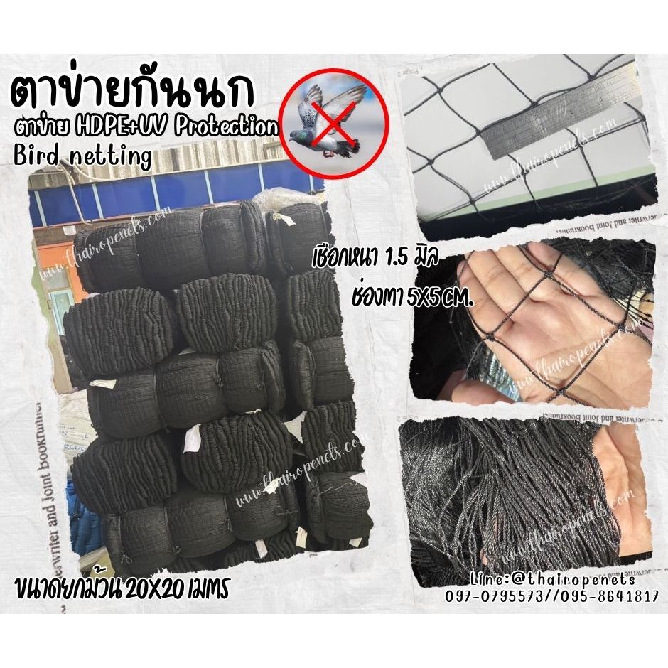 Bird netting ตาข่ายกันนก เชือกหนา 1.5 มิล ช่องตา 5x5 cm.ยกม้วน 20x20 เมตร ตาข่ายเคลือบสารป้องกัน UV ทนแดด ทนฝน พร้อมส่ง