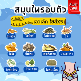 สมุนไพรอบตัว เอวเล็ก【1ชุด มี 2 ห่อ 】 🎀 สมุนไพรอบตัวเอวXS อบตัวสมุนไพร