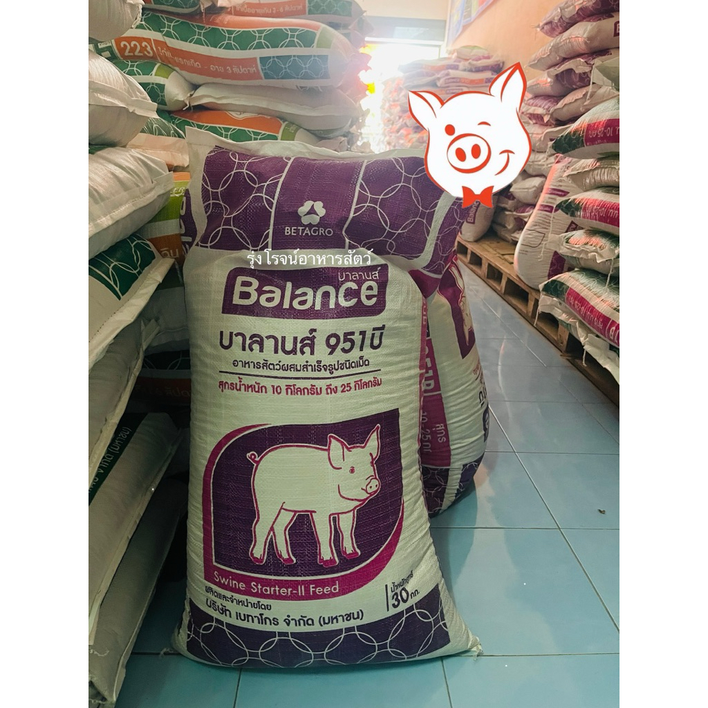 30 กก. บาลานส์ สำหรับหมูหย่านม-30 กก. เบอร์ 951B