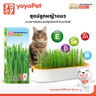 yoyopet : ชุดปลูกหญ้าแมว หญ้าแมว เมล็ดข้าวสาลี ถาดเพาะต้นอ่อ…