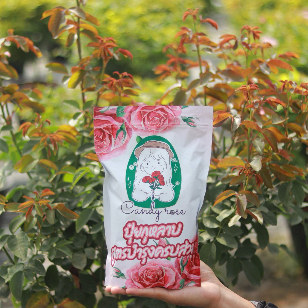 ปุ๋ยกุหลาบ [1,000 กรัม] สูตรบำรุง ครบส่วน คุ้มค่า ดอกไม้ตกแต่งบ้าน สวยงามไว้ใจ Candy Rose