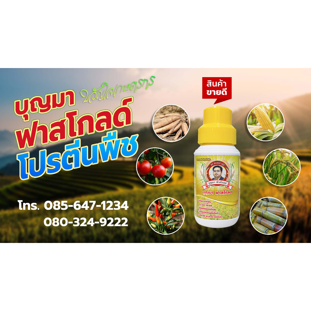 บุญมาฟาสโกลด์ อาหารเสริมสำหรับพืช