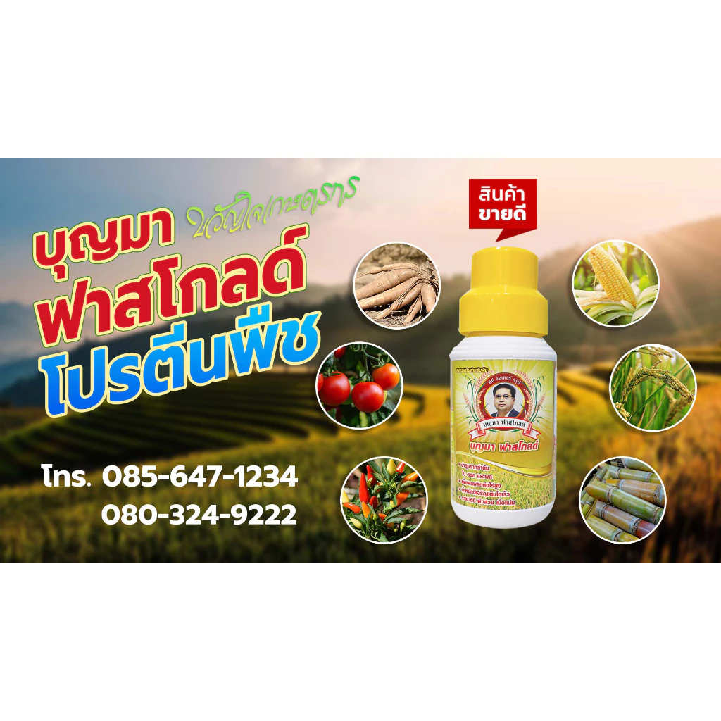 บุญมาฟาสโกลด์ อาหารเสริมสำหรับพืช