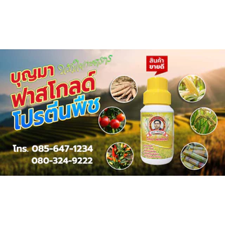 บุญมาฟาสโกลด์ อาหารเสริมสำหรับพืช