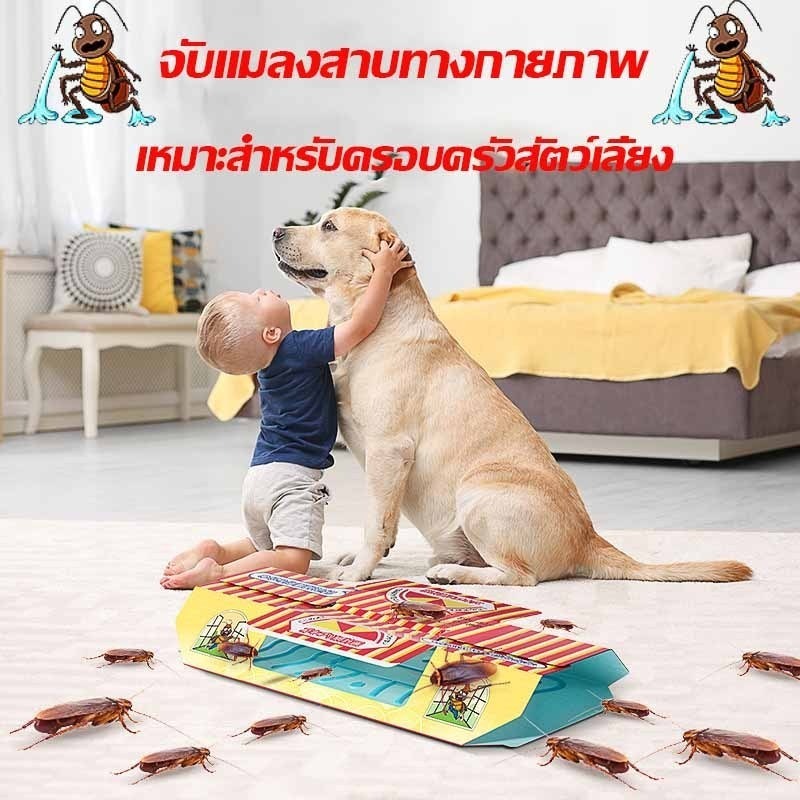 พร้อมส่งทุกวัน🌟บ้านแมลงสาบ และดักจิ้งจก กาวดักแมลงสาบ / จิ้งจก พร้อมเหยื่อสำเร็จรูป บรรจุ 5 หลัง ใน 1 กล่อง - รูปที่ 2