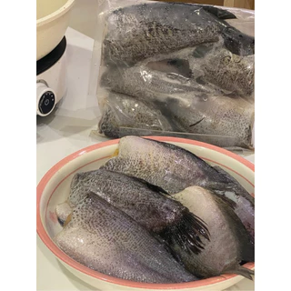 ปลาสลิดไข่แดดเดียว มีไข่ทุกตัว 5-8ตัว/แพ็ค 500g. 🔥 พร้อมส่ง ปลาสลิดแดดเดียว 🚛เหมาค่าส่ง ฟรีกล่องโฟมทุกจังหวัดทั่วไทย 🎉