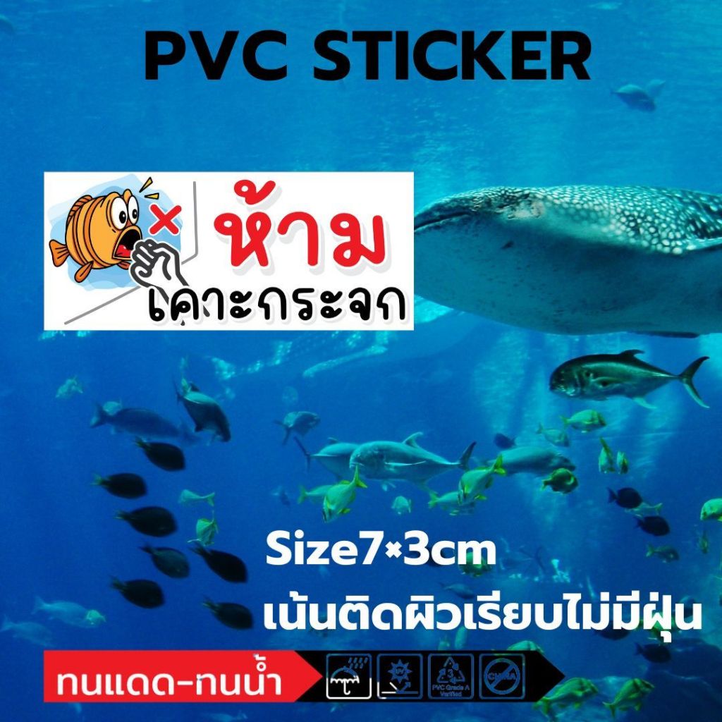 (669)Sticker สติ๊กเกอร์ ห้ามเคาะกระจก ตู้ปลา Aquarium ร้านขายสัตว์เลี้ยง อุปกรณ์ ปลาสวยงาม
